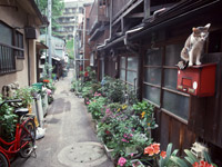 生活保護法改正案は一旦、廃案に