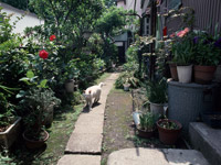 生活保護とワーキングプアの問題