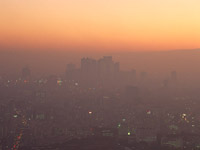 長期的なビジョンの欠如