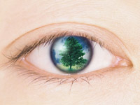 包括的なセーフティーネットの構築